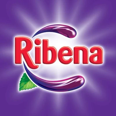 Ribena 500ml Bottle